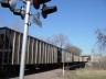2trackstrain.jpg