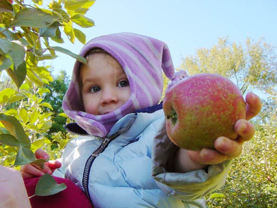 bellaapple.jpg
