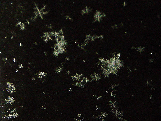 carwindowsnoflakes.jpg