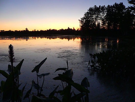 flowagesunset.jpg