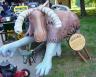 giantmoose.jpg