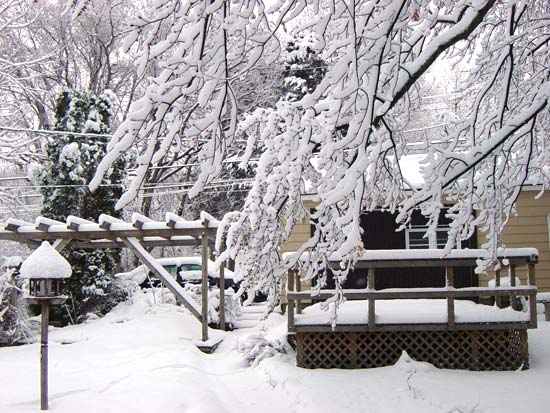 lastsnow04.jpg