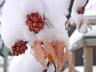 lastsnow04buds.jpg