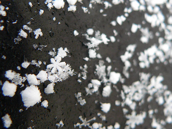 macrosnoflakes1.jpg