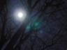 moonbranches1.jpg