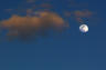 moonshot.jpg
