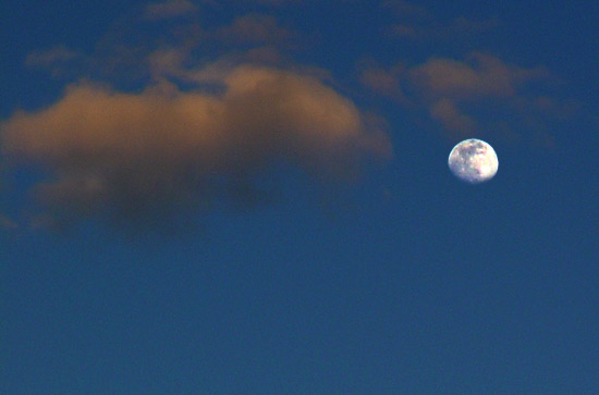 moonshot.jpg