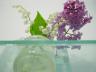 tinyspringflowers04.jpg