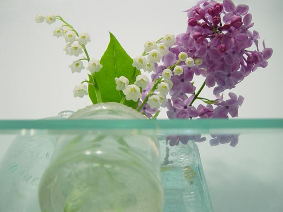 tinyspringflowers04.jpg