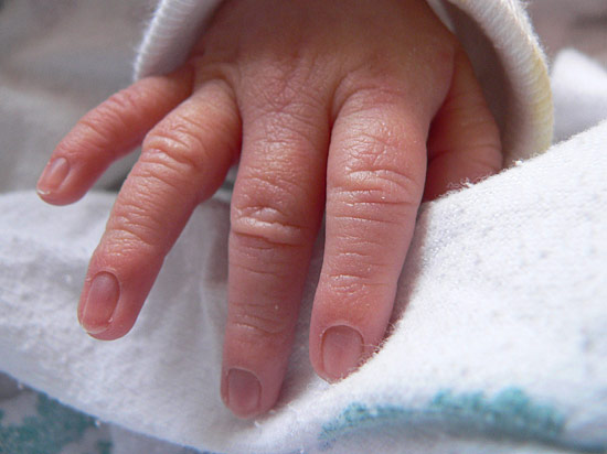 Trixie's tiny fingers